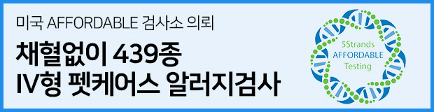 이미지 배너